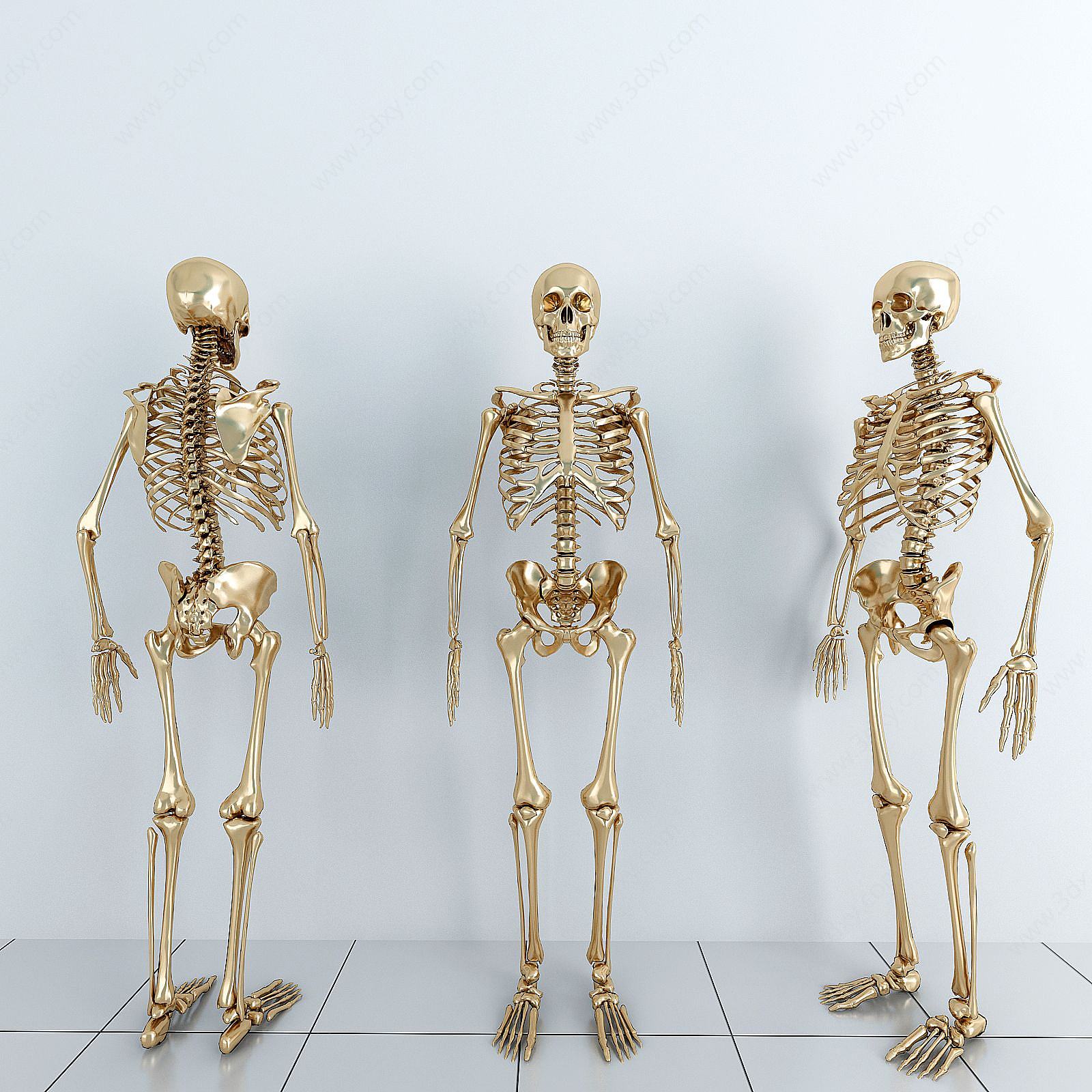 人物骨架摆件3D模型