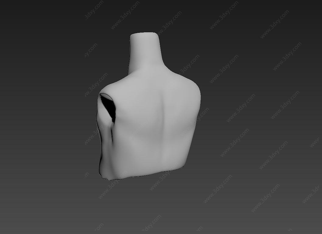 男人人体3D模型