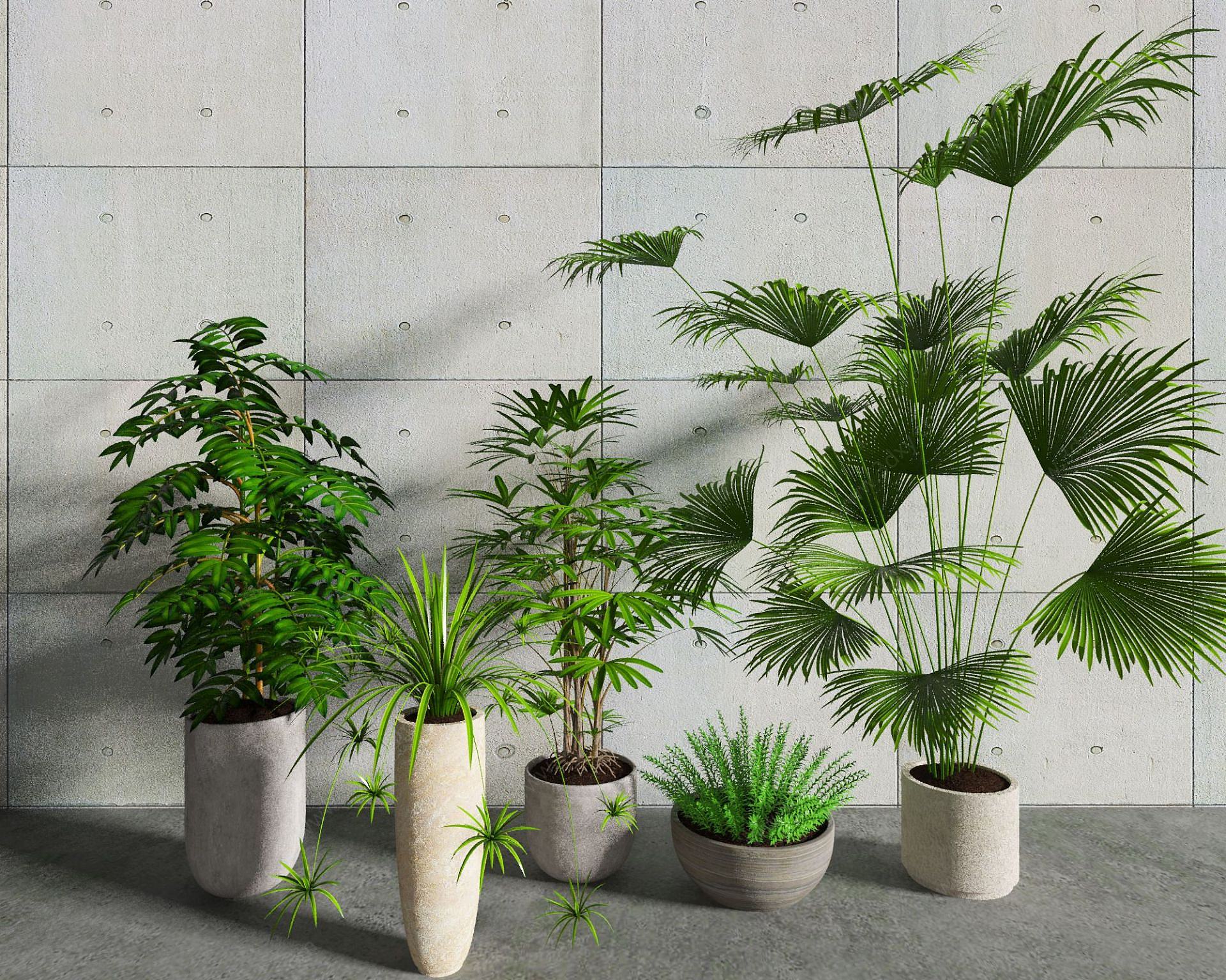 植物盆栽组合3D模型