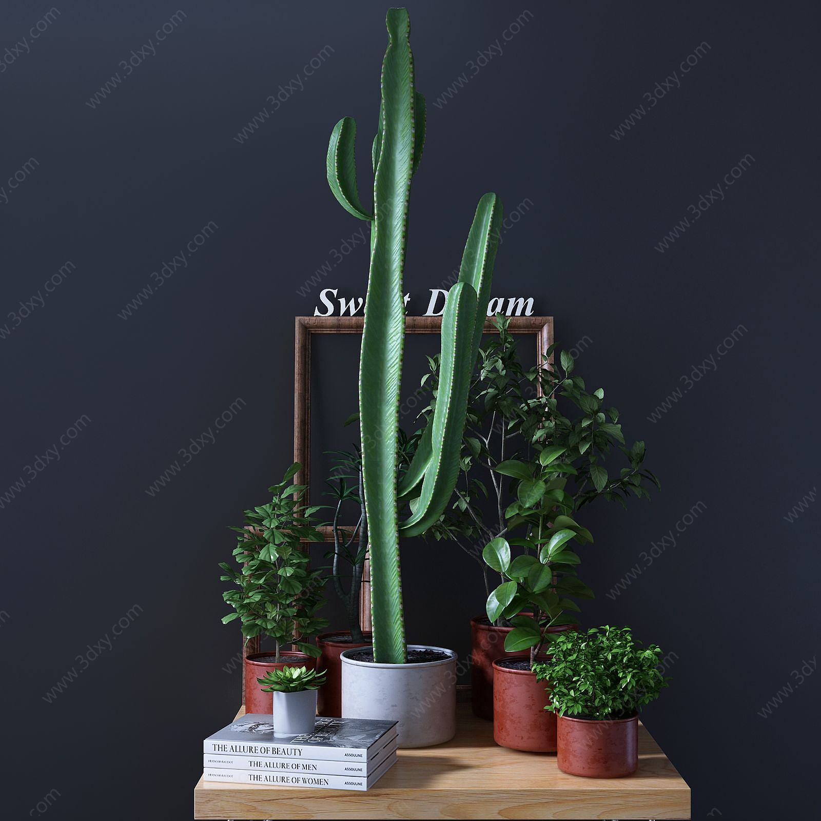 绿植仙人掌盆栽组合3D模型