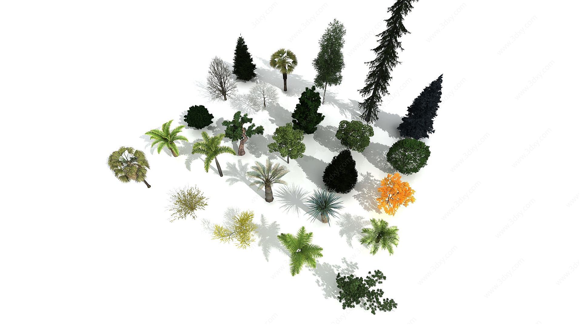 精品树木集合3D模型