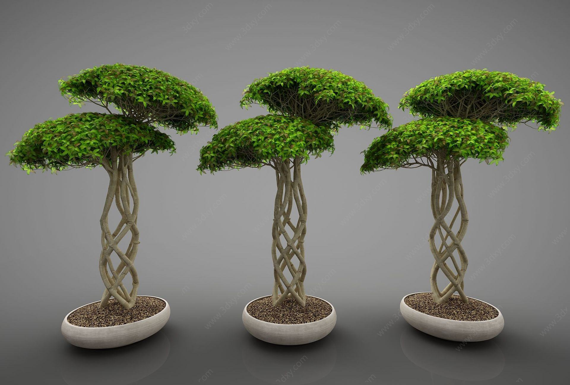 现代风格绿植3D模型
