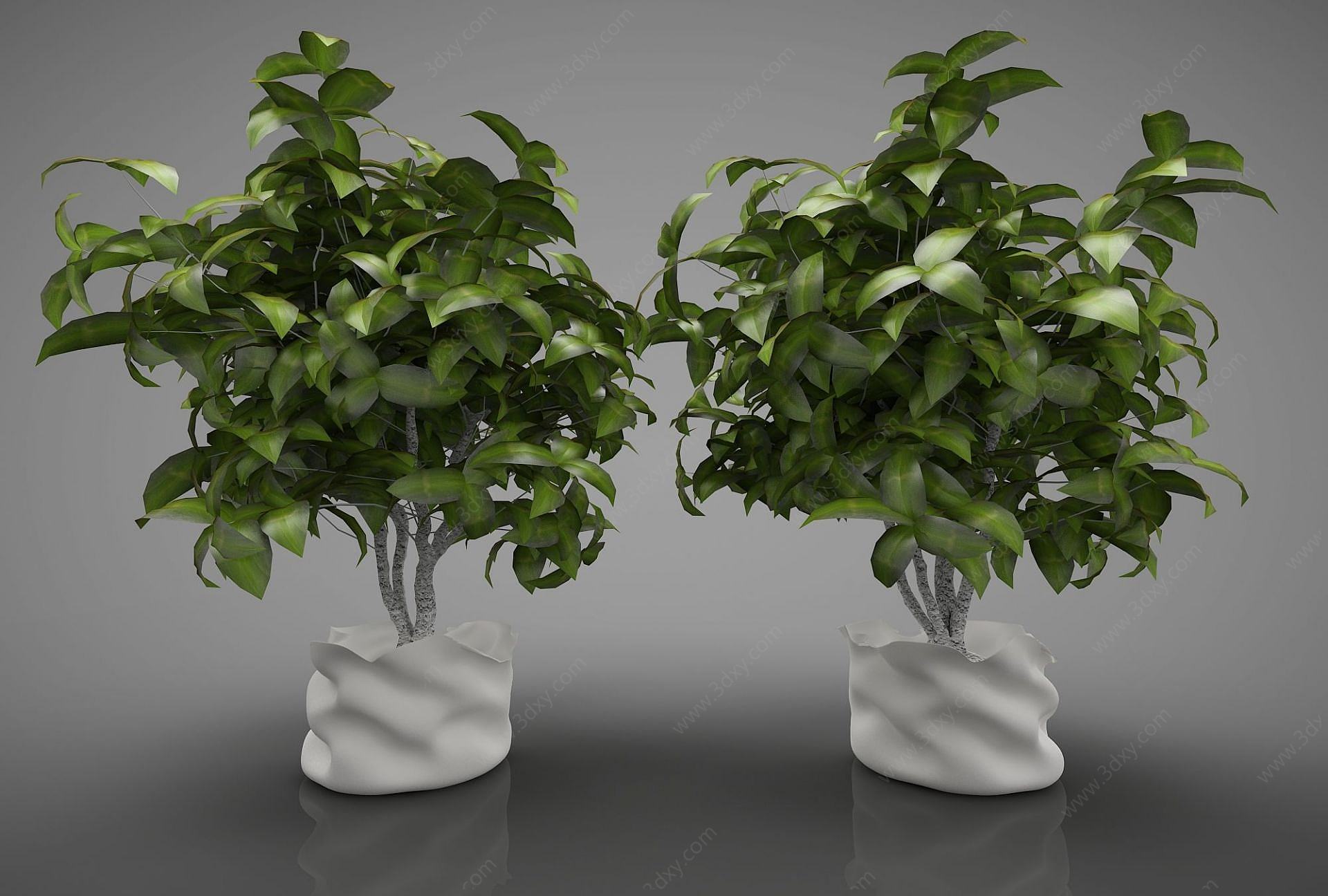 新中式风格盆栽3D模型