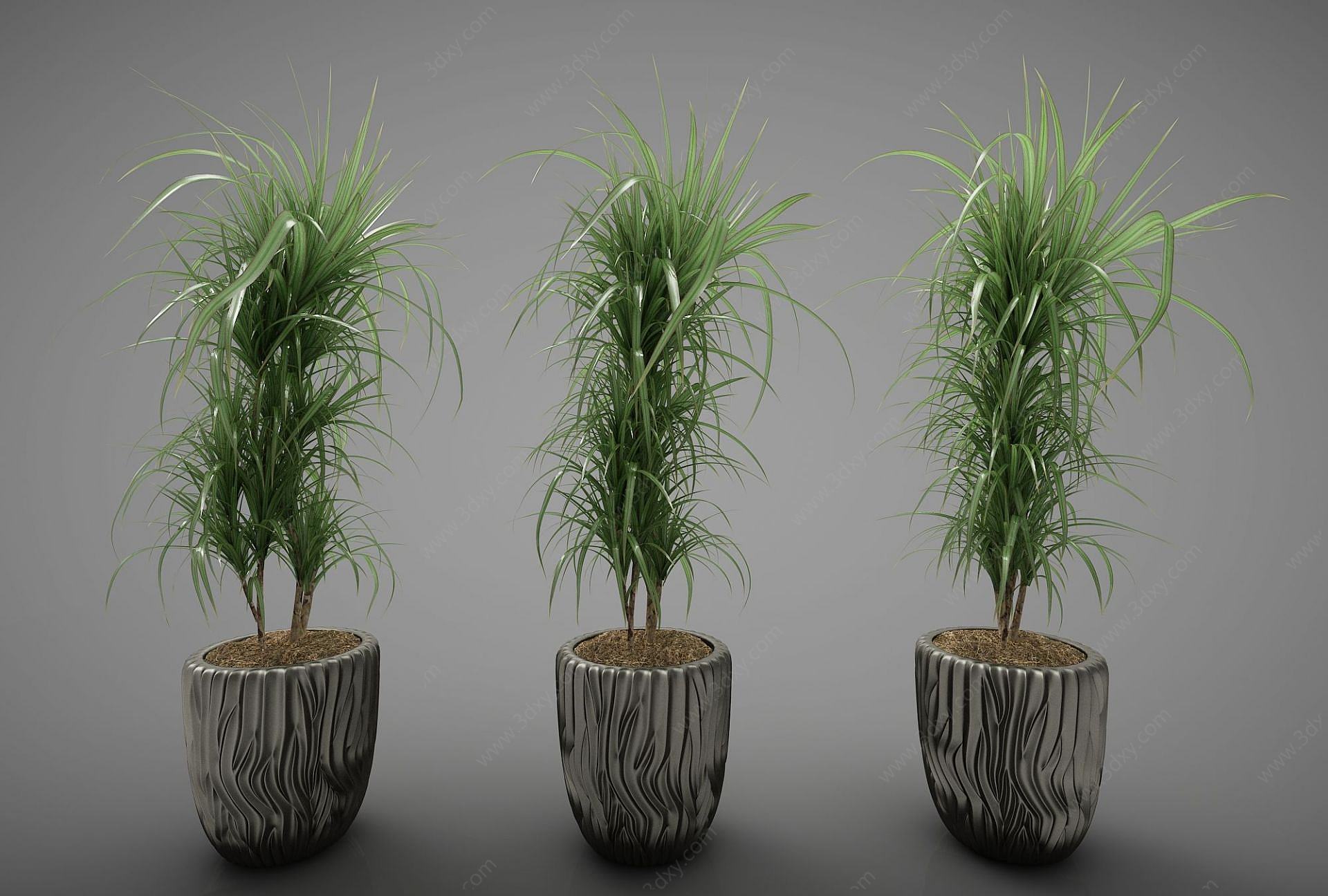 绿植盆景3D模型