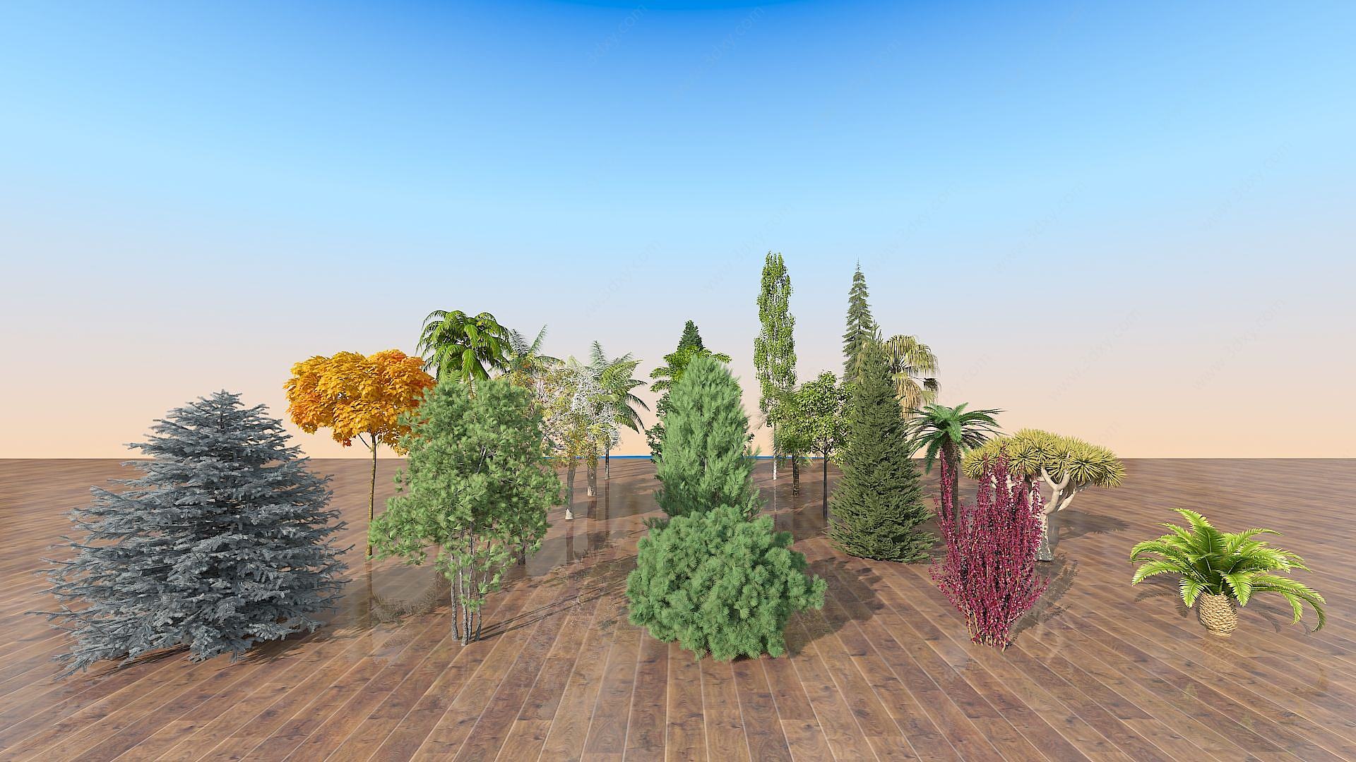 现代室外景观树木组合3D模型