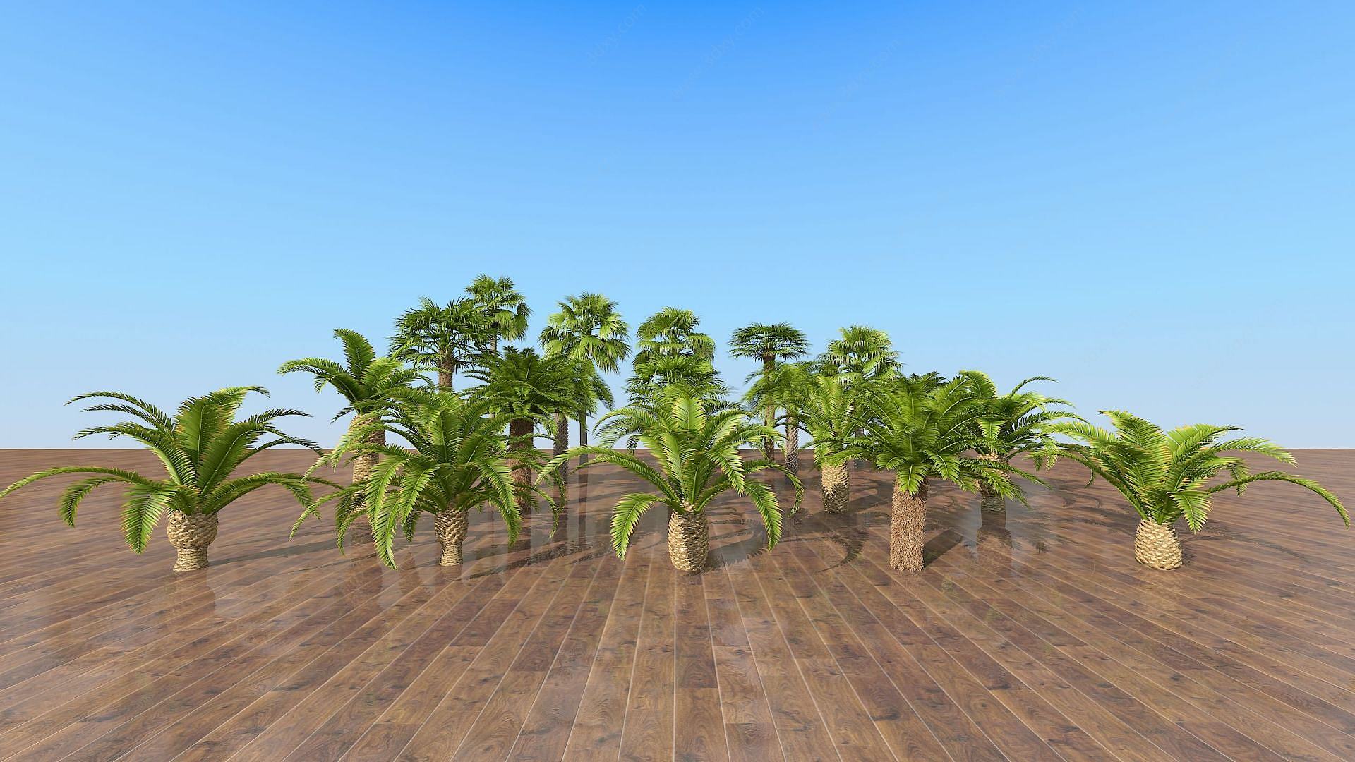 现代室外热带树木组合3D模型
