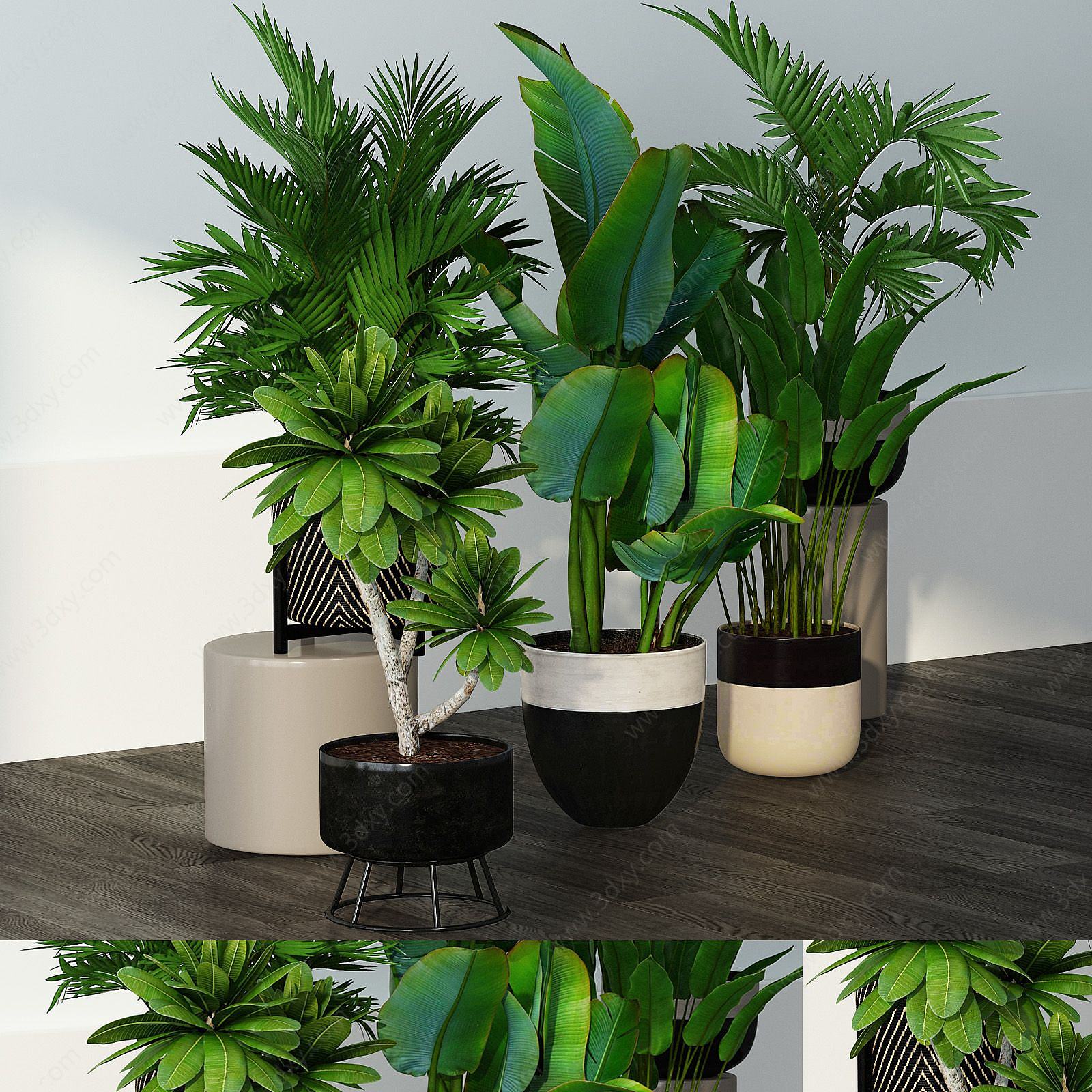 现代植物组合3D模型