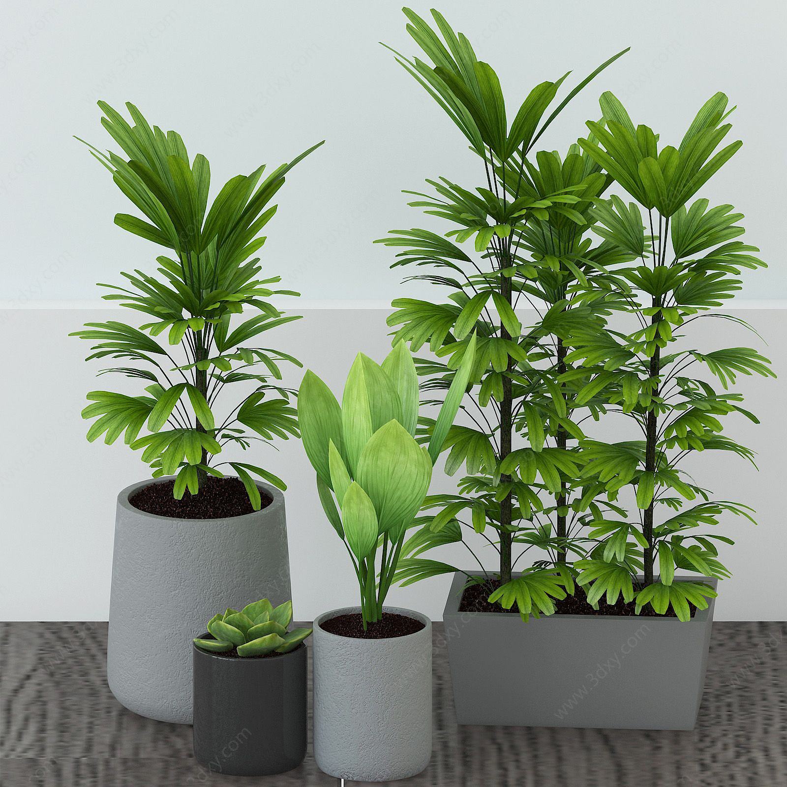 现代棕竹绿植盆栽3D模型