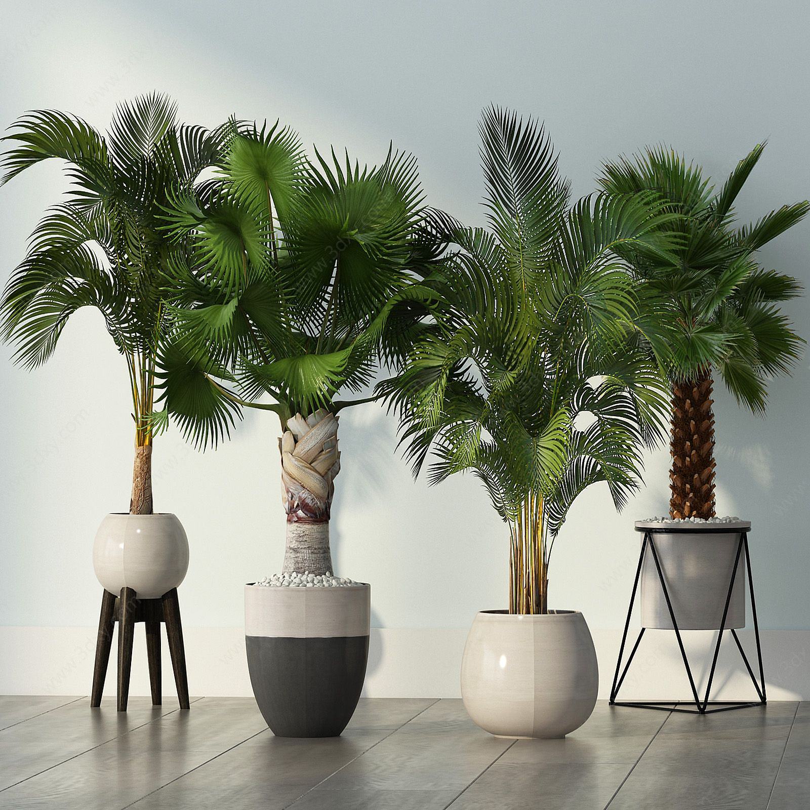 现代室内植物盆景组合3D模型