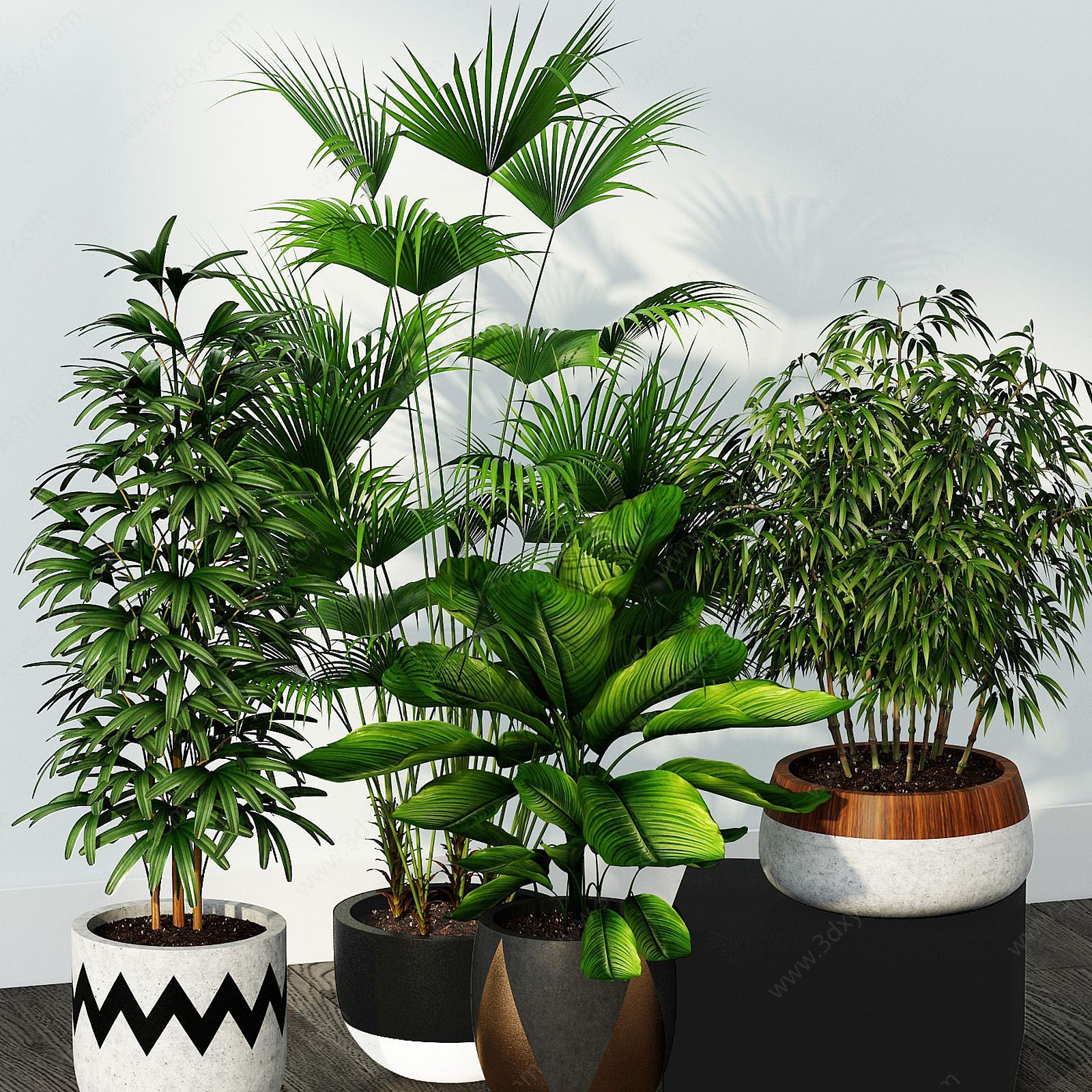 现代小竹子绿植盆栽组合3D模型