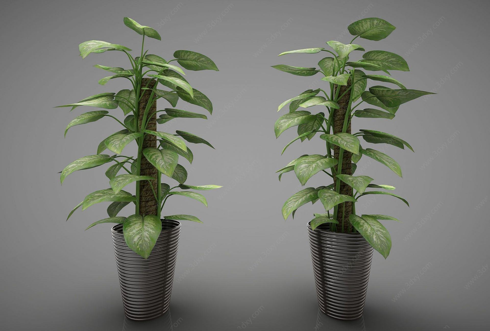 绿植盆栽组合3D模型