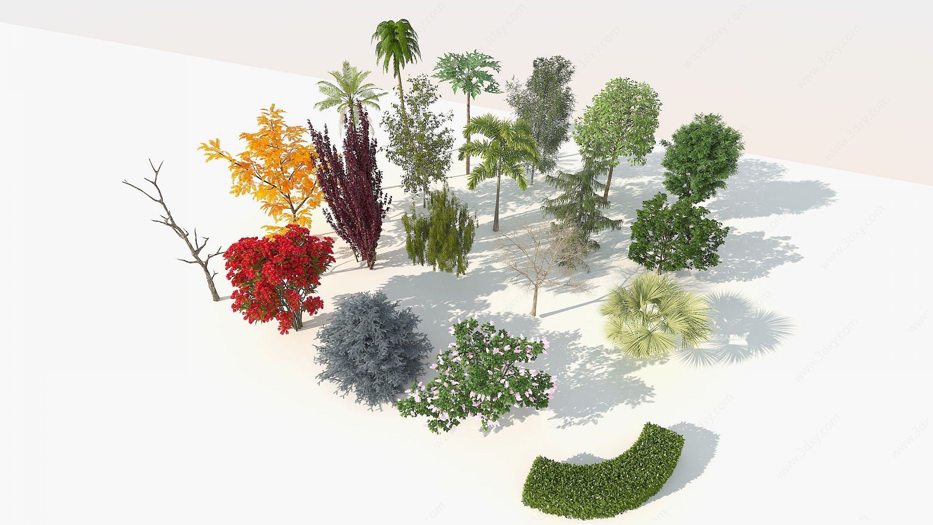 树木鸟瞰树景观树庭院树3D模型