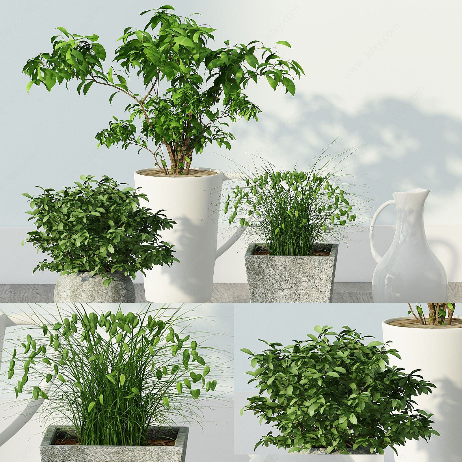 现代绿植花草盆栽组合3D模型