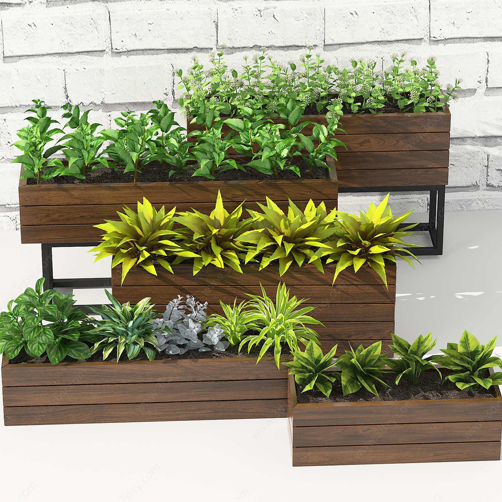 现代花架花草植物组合3D模型