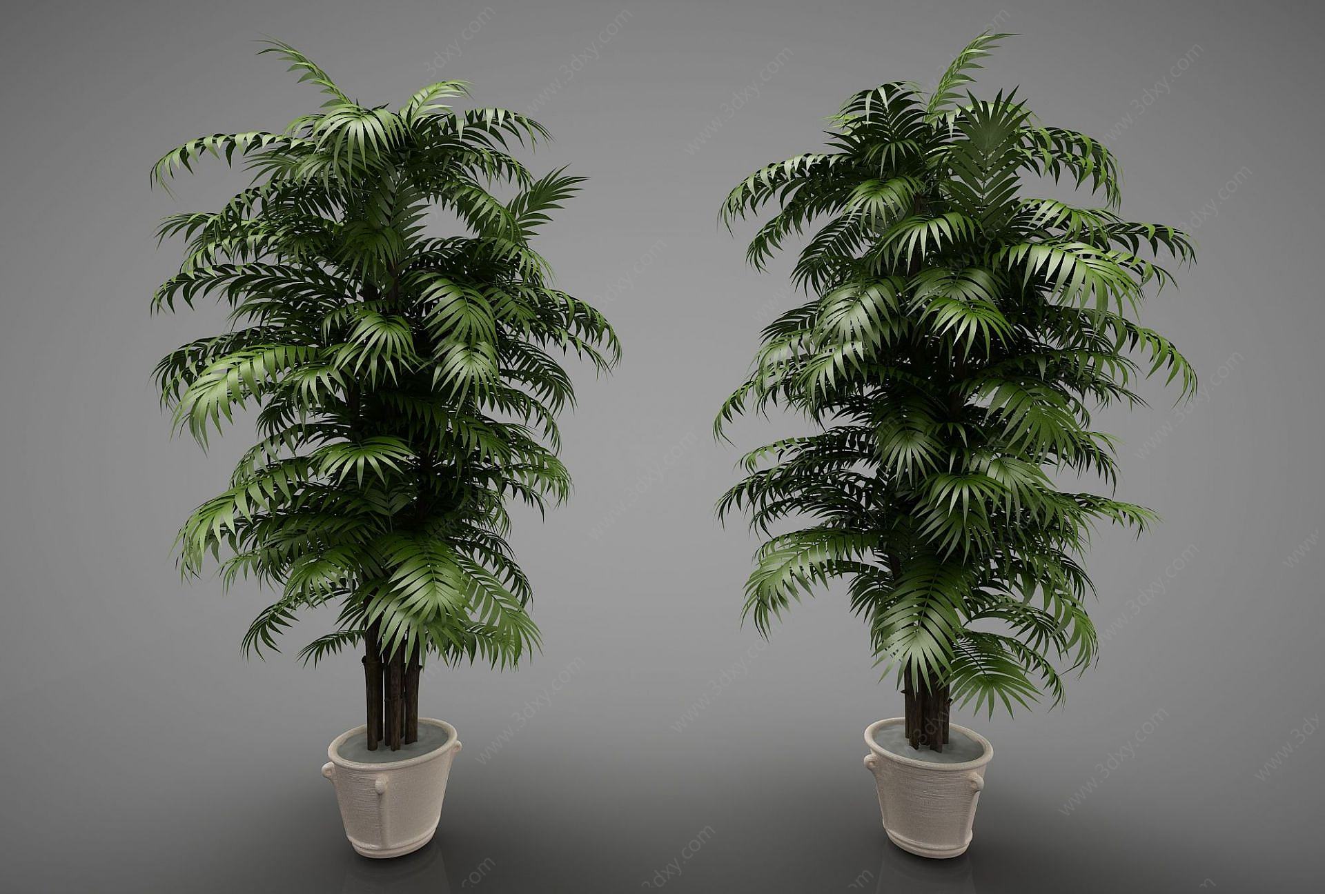 新中式风格的植物3D模型