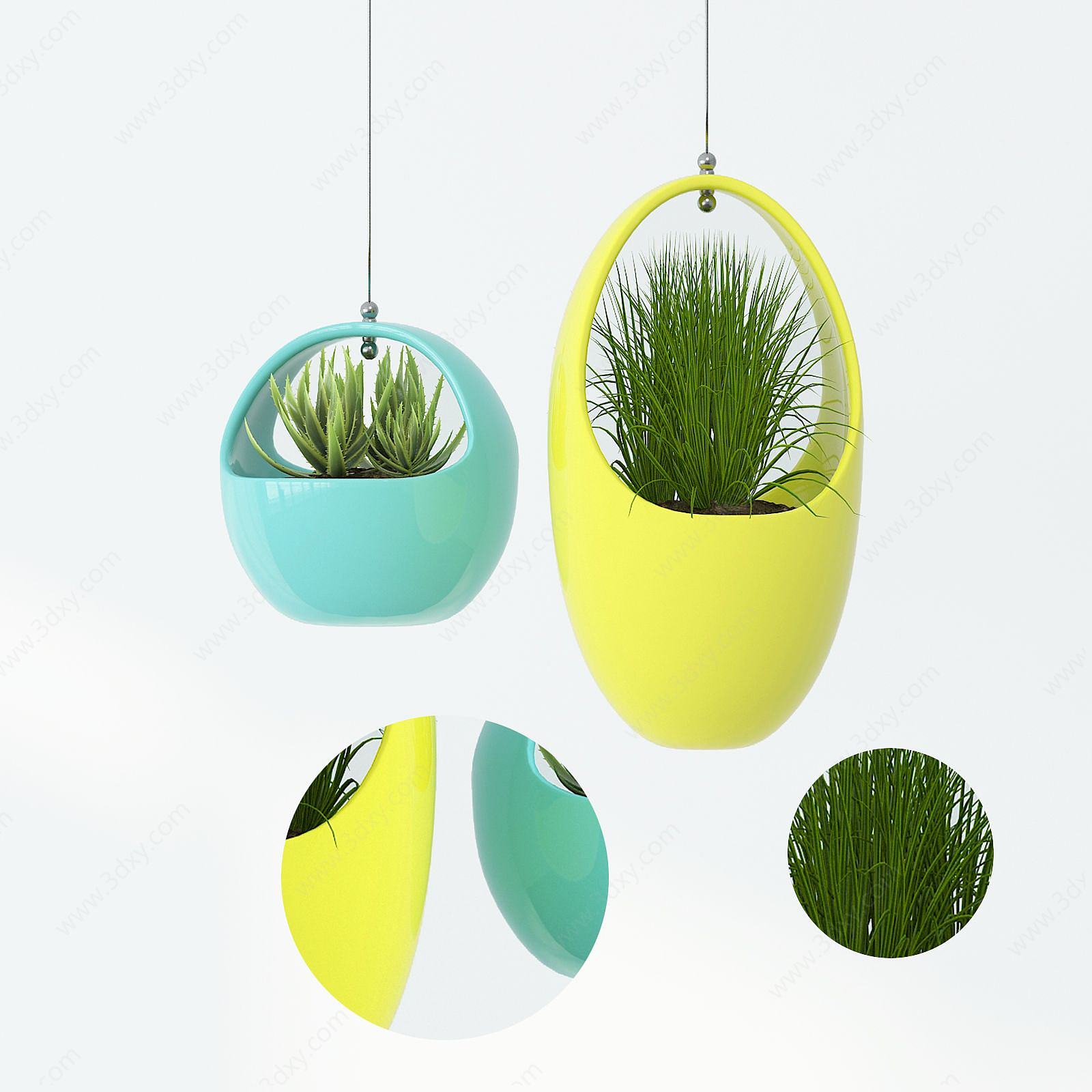 现代吊瓶植物盆栽3D模型