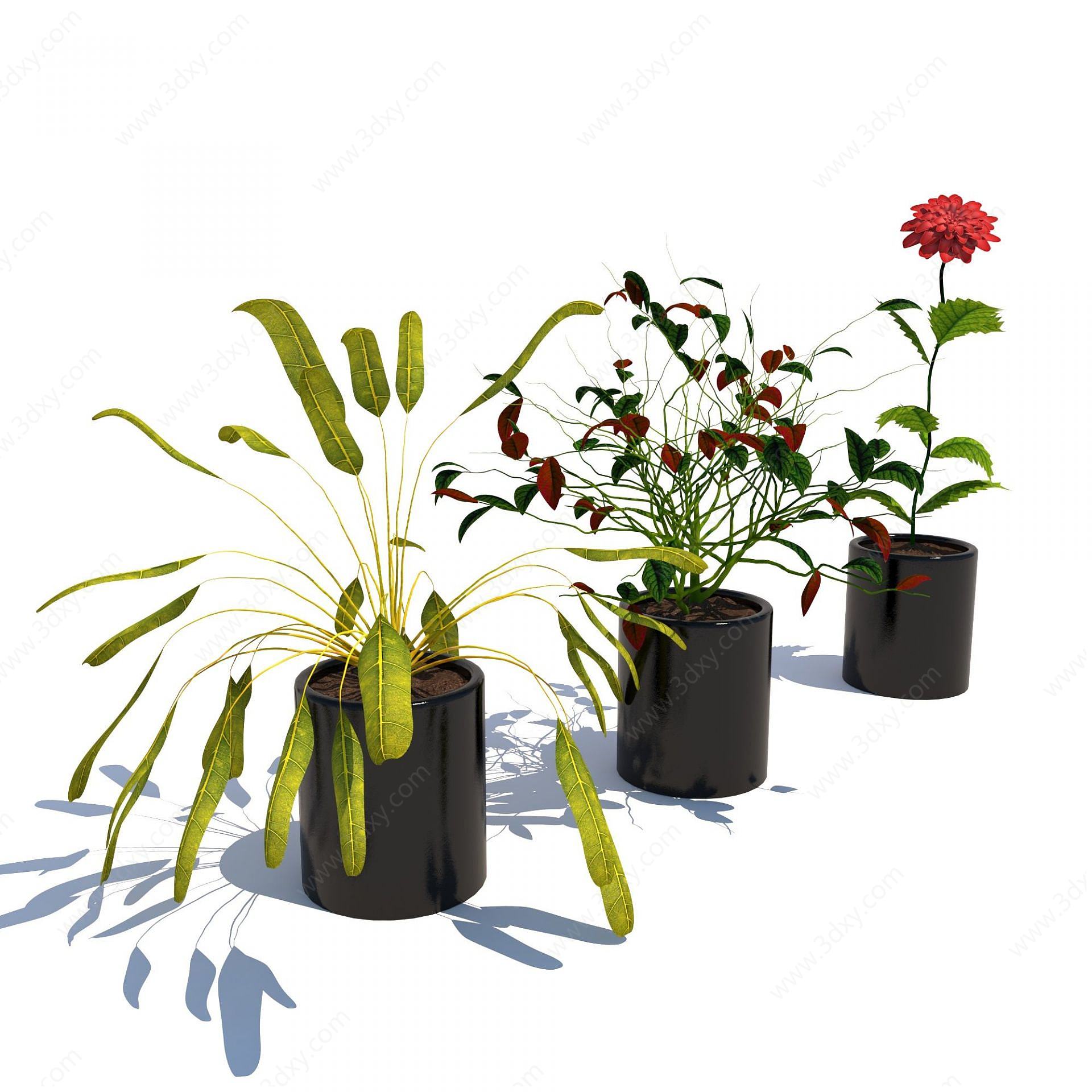 现代植物花草组合3D模型