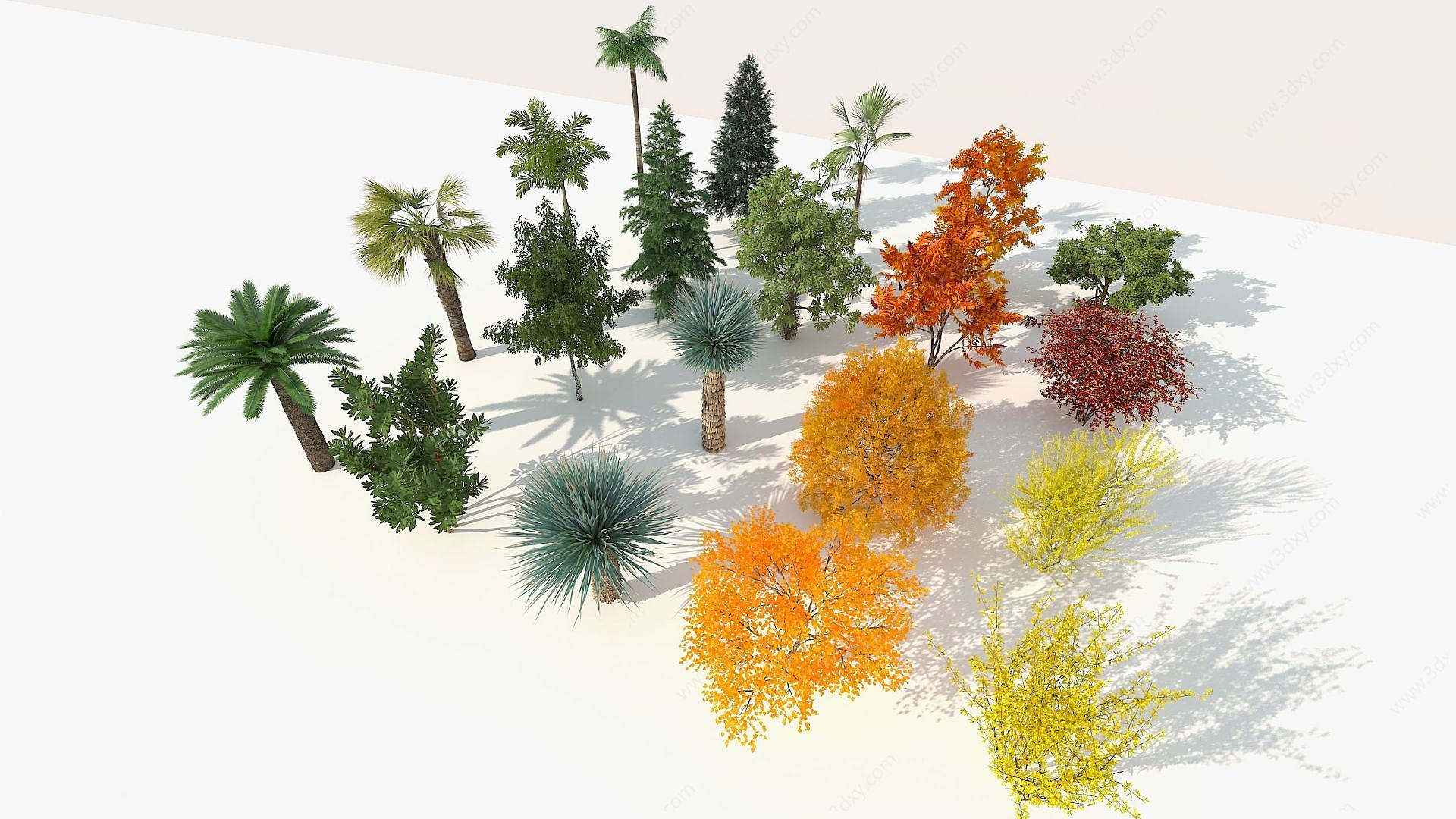 现代室外精品树木组合3D模型
