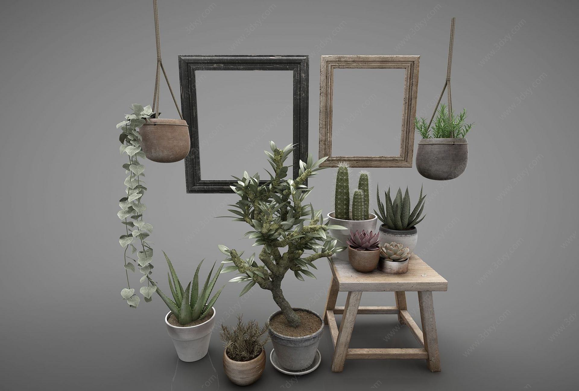 现代植物画框组合3D模型