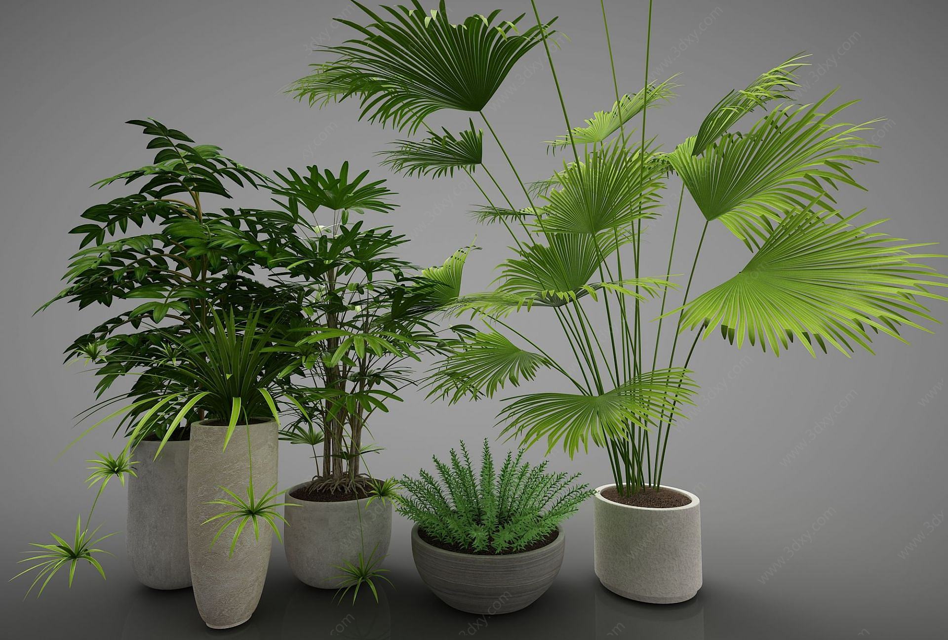 现代绿色植物盆栽3D模型