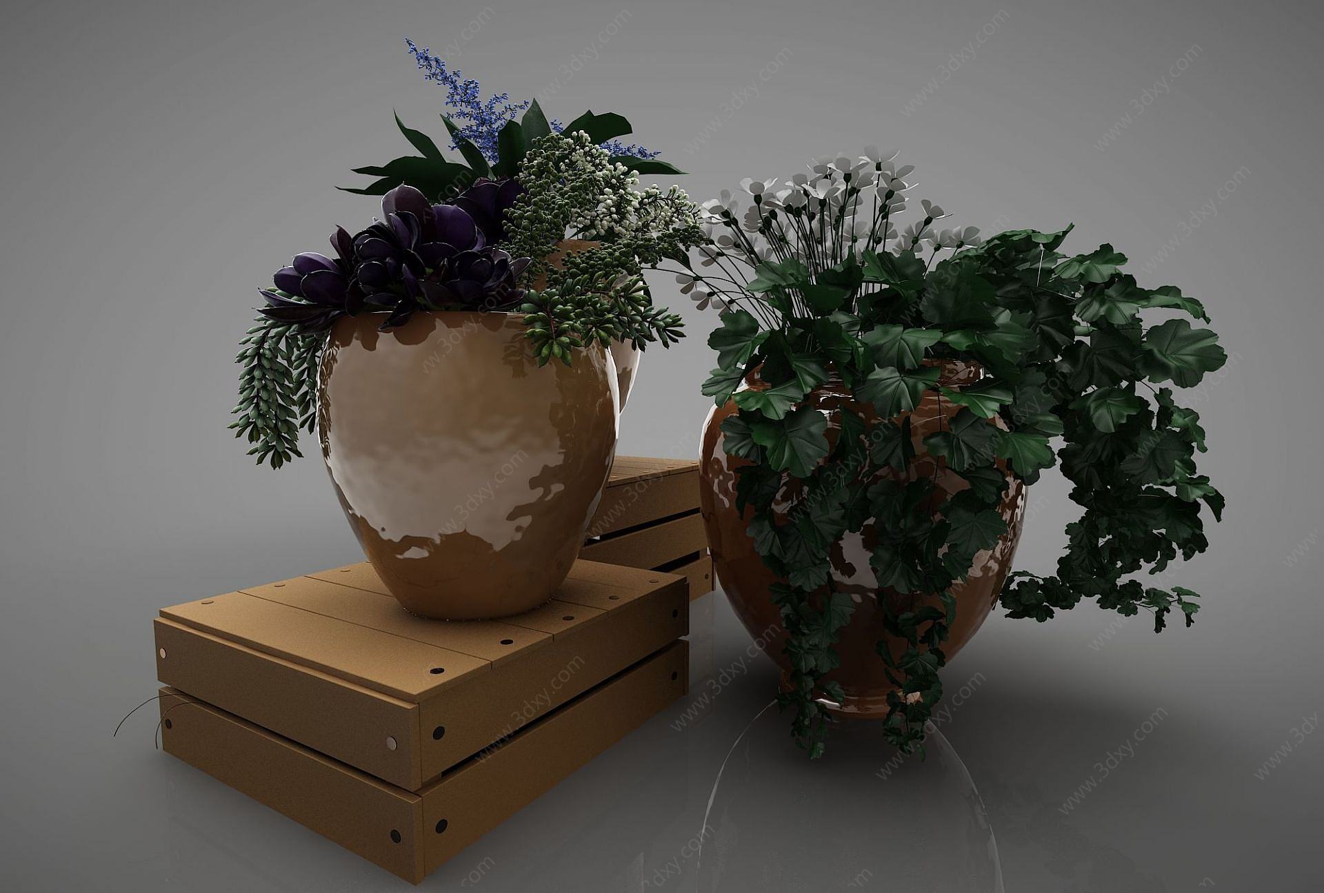 绿色植物盆栽3D模型