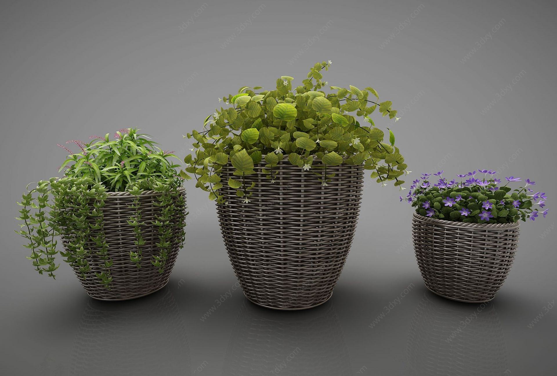绿色植物竹编3D模型