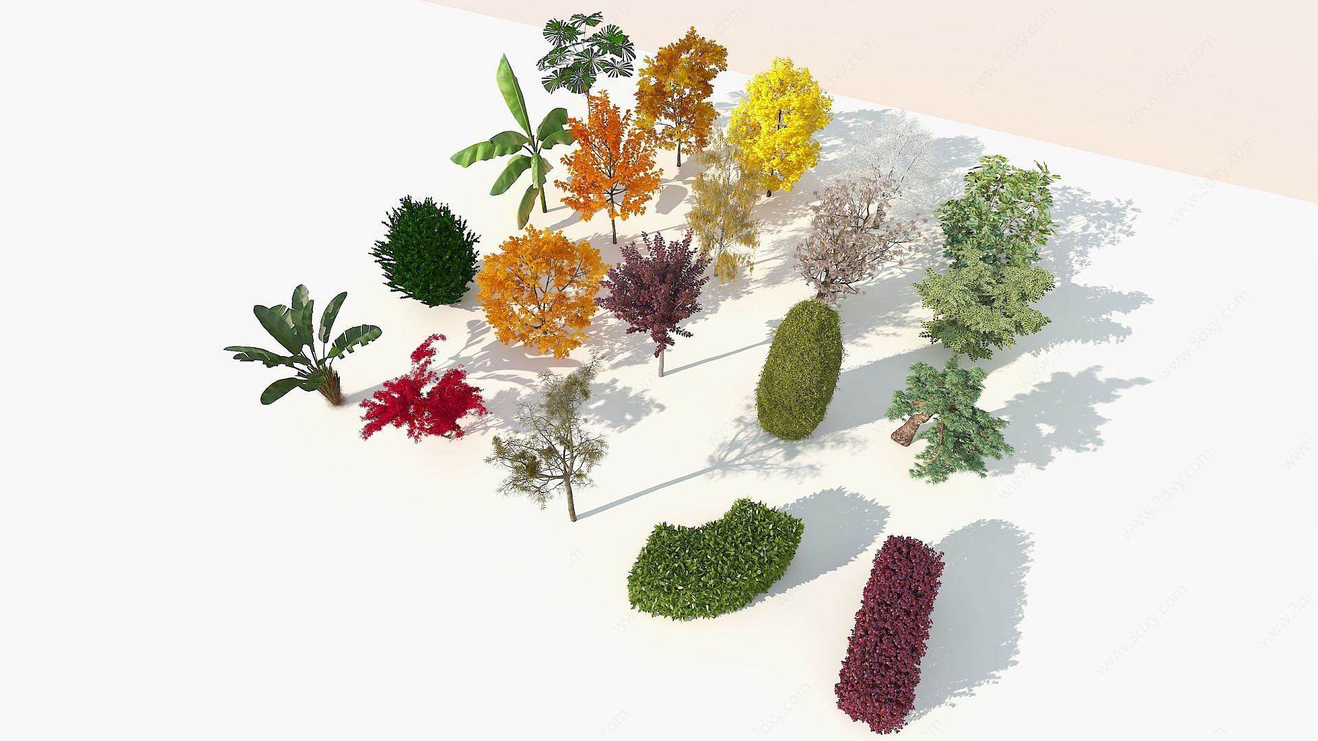 现代室外20棵精品树木组合3D模型