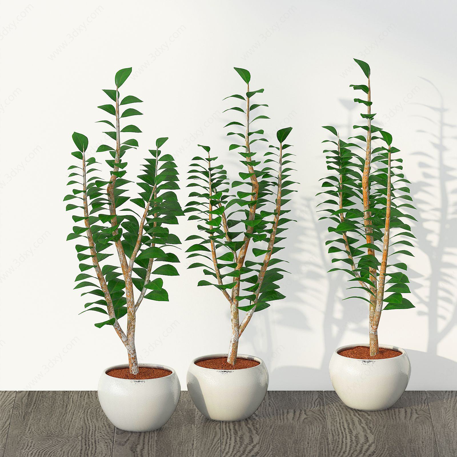 现代盆栽室内绿植3D模型