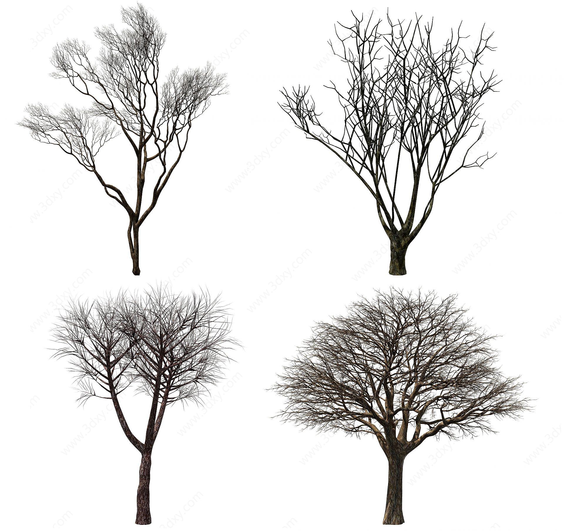 现代景观枯树3D模型