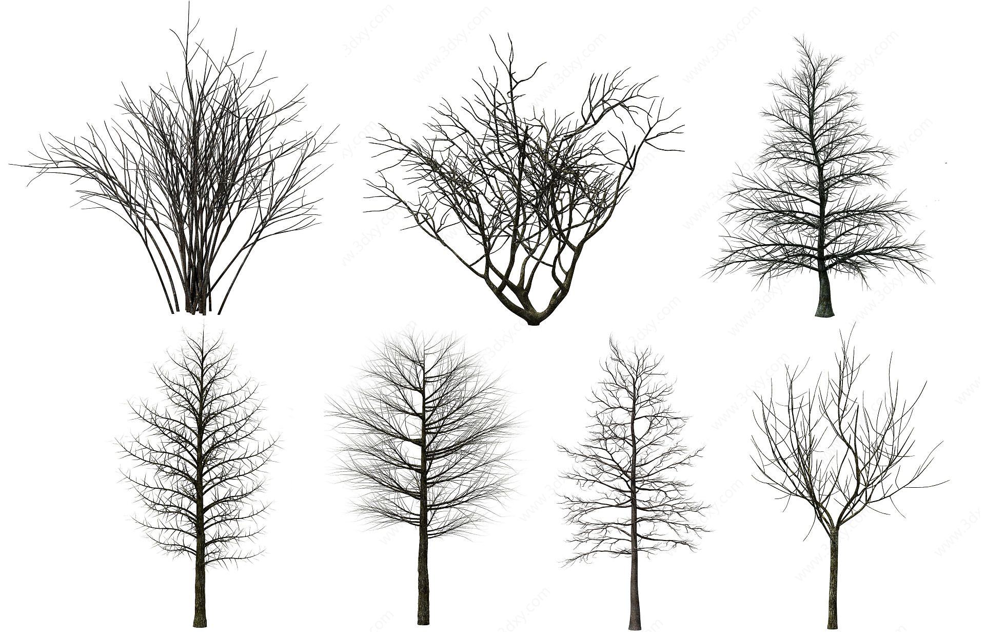 现代树木枯树3D模型