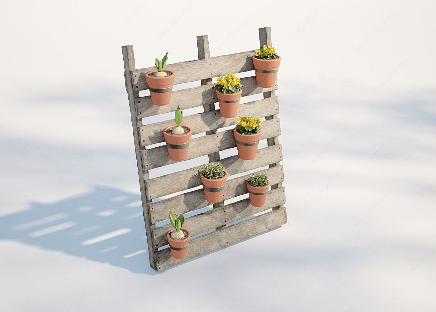 现代户外植物盆栽3D模型