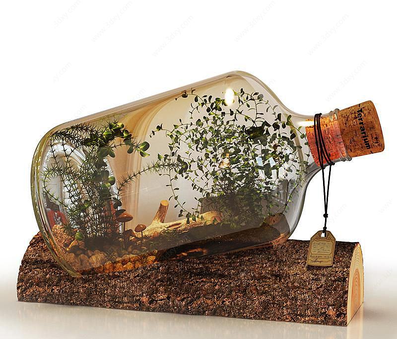 花瓶植物3D模型