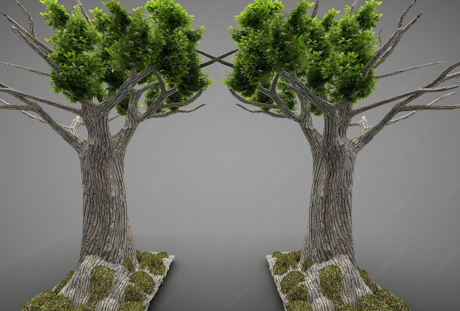 现代风格大树3D模型