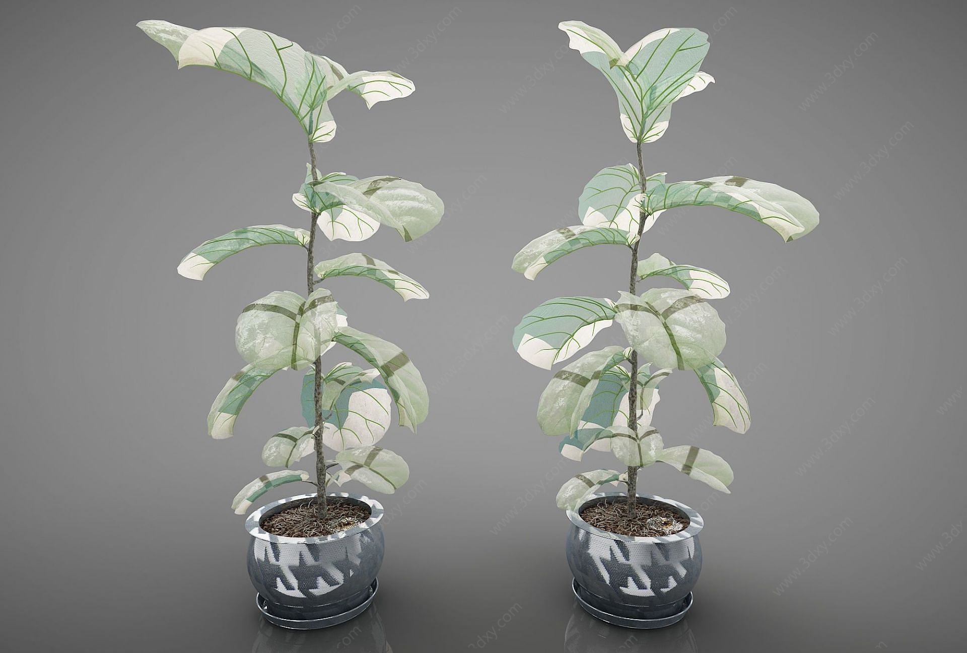 现代风格植物3D模型