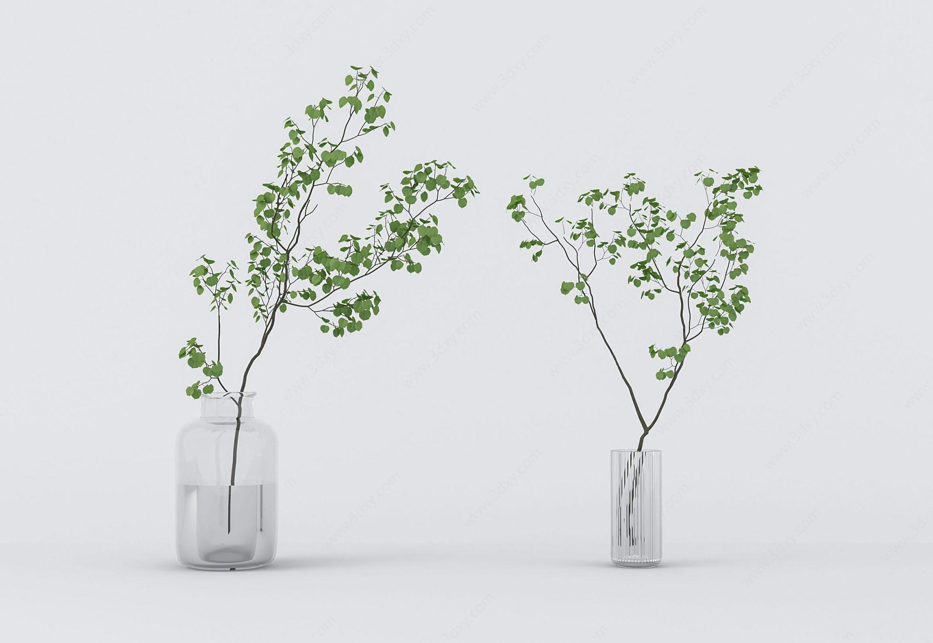 日式水生植物3D模型