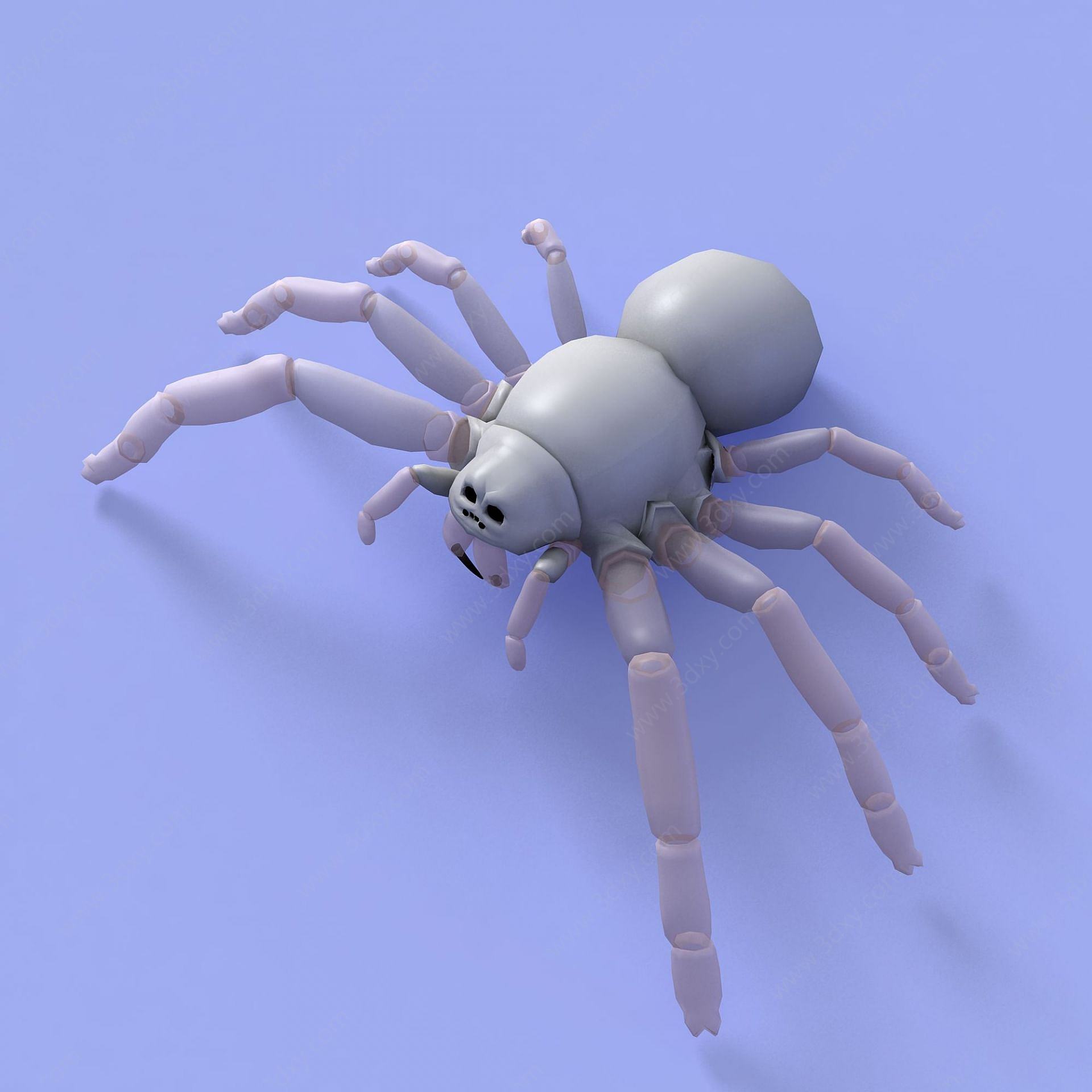 蜘蛛3D模型
