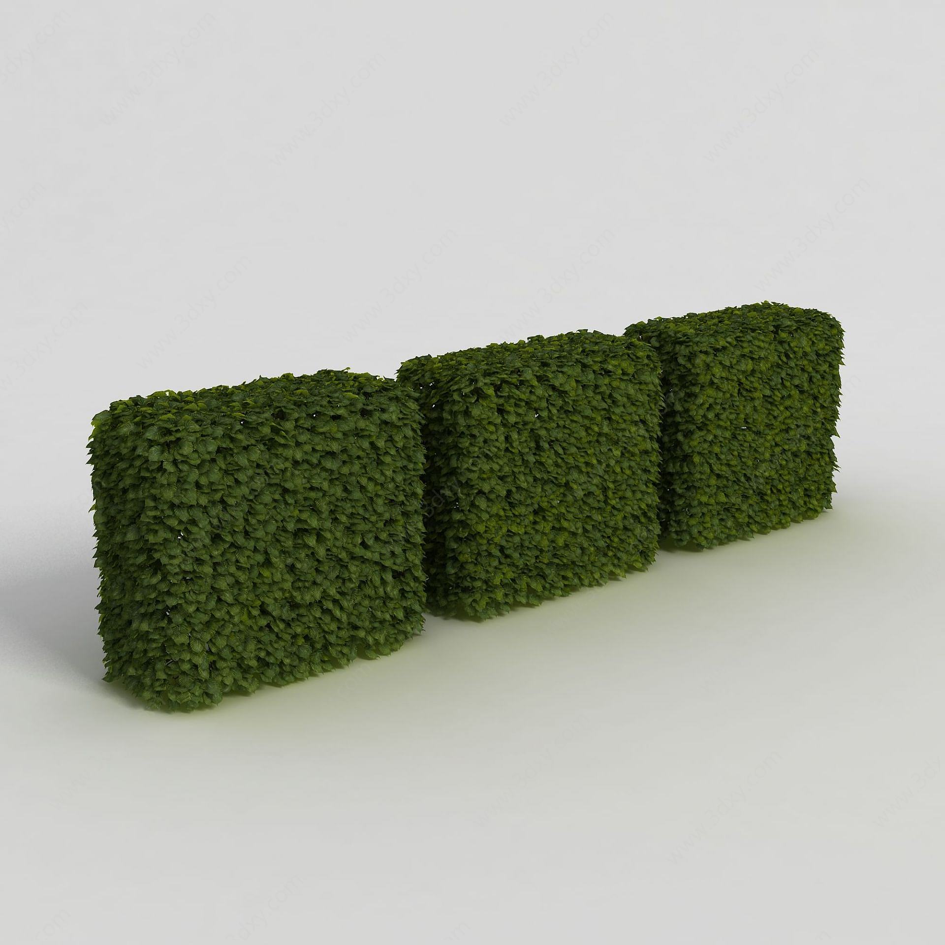 长方形灌木3D模型