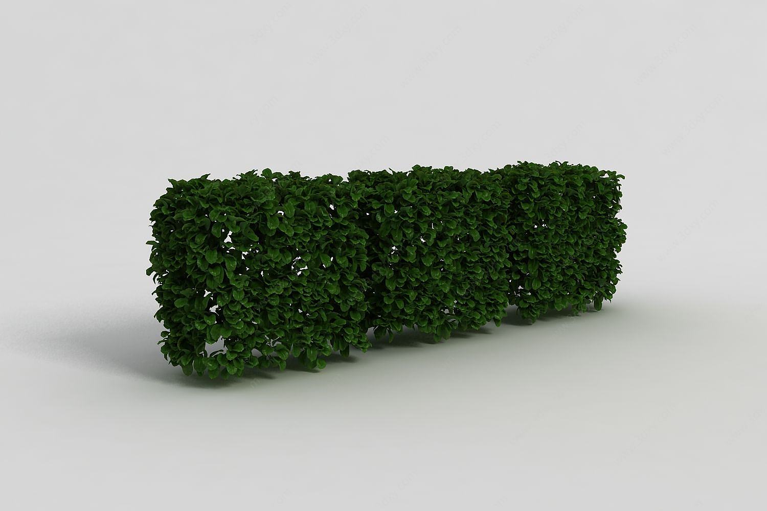 户外园林灌木丛3D模型