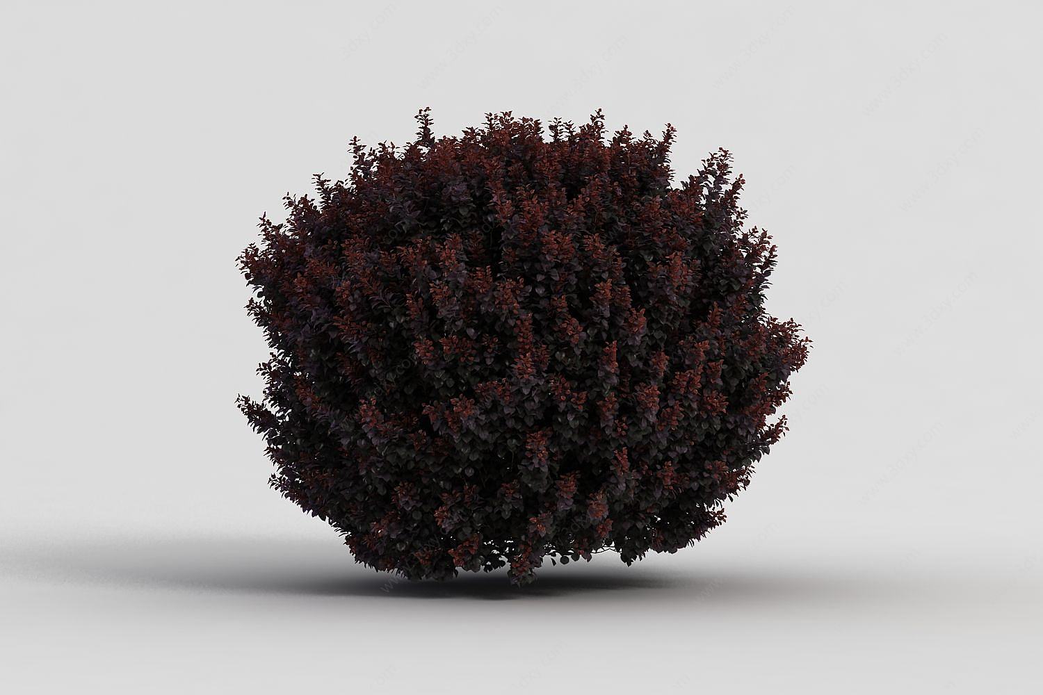 园林装饰灌木3D模型