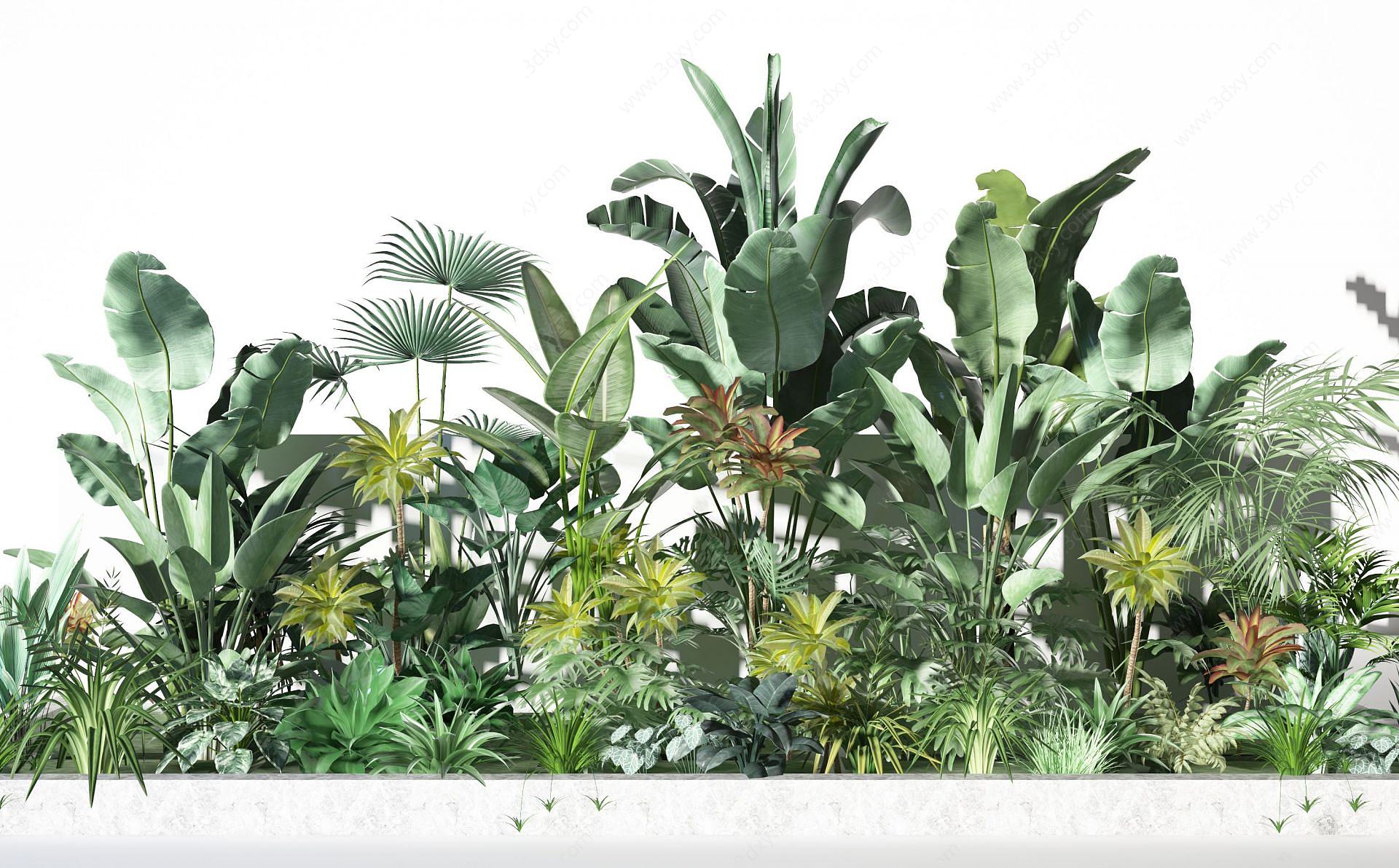 现代植物景观3D模型