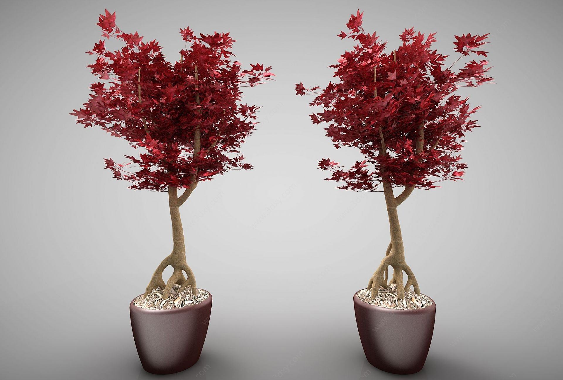 现代装饰盆栽3D模型