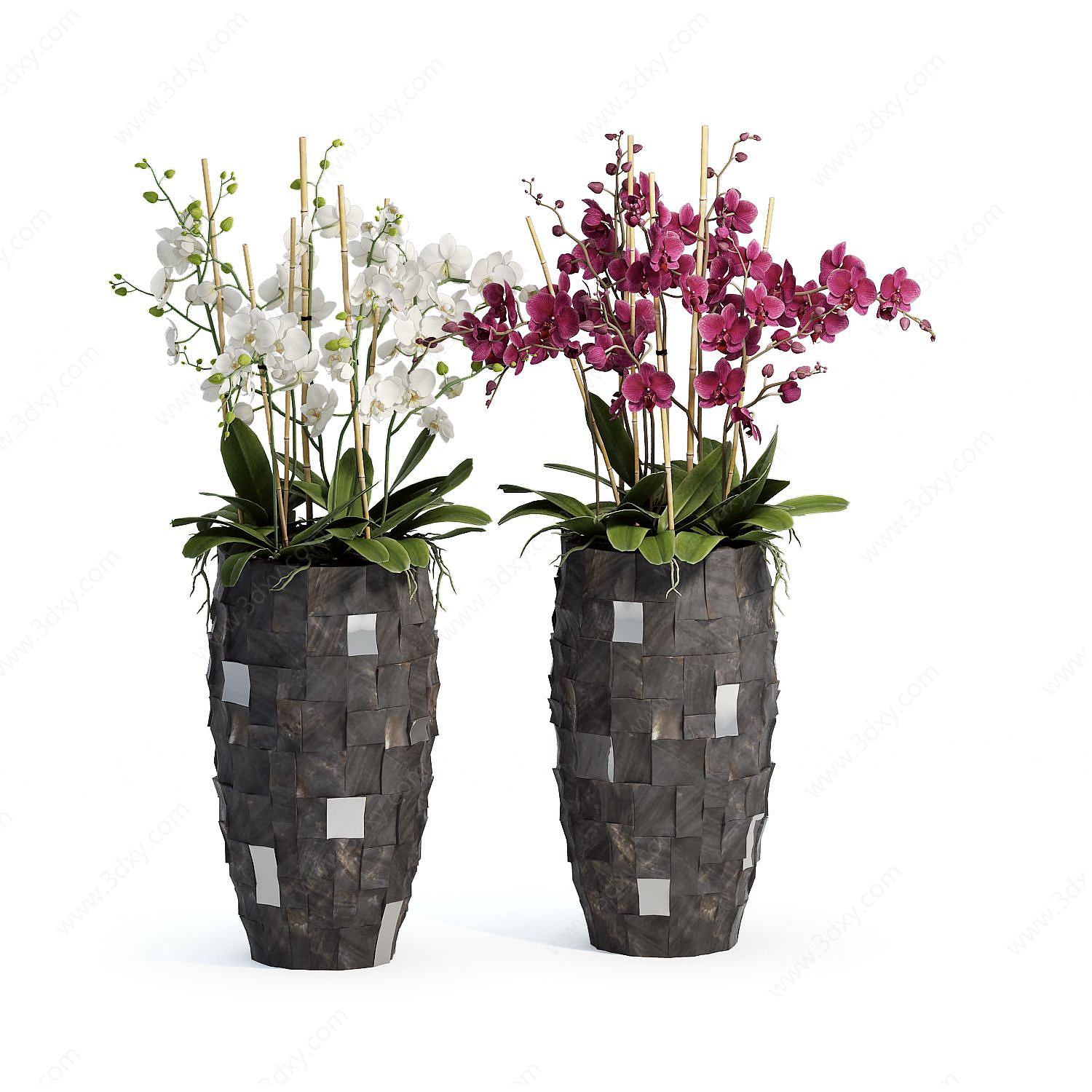 现代装饰植物花瓶3D模型