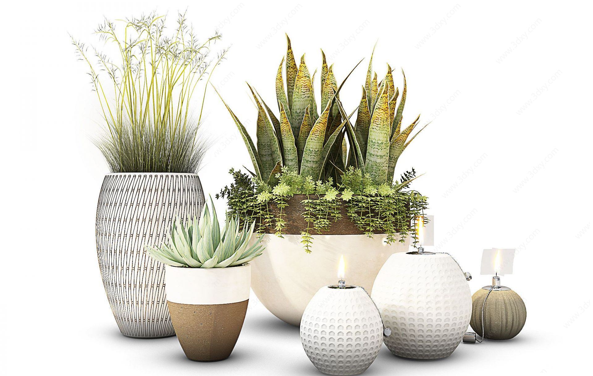 现代盆栽装饰花瓶3D模型