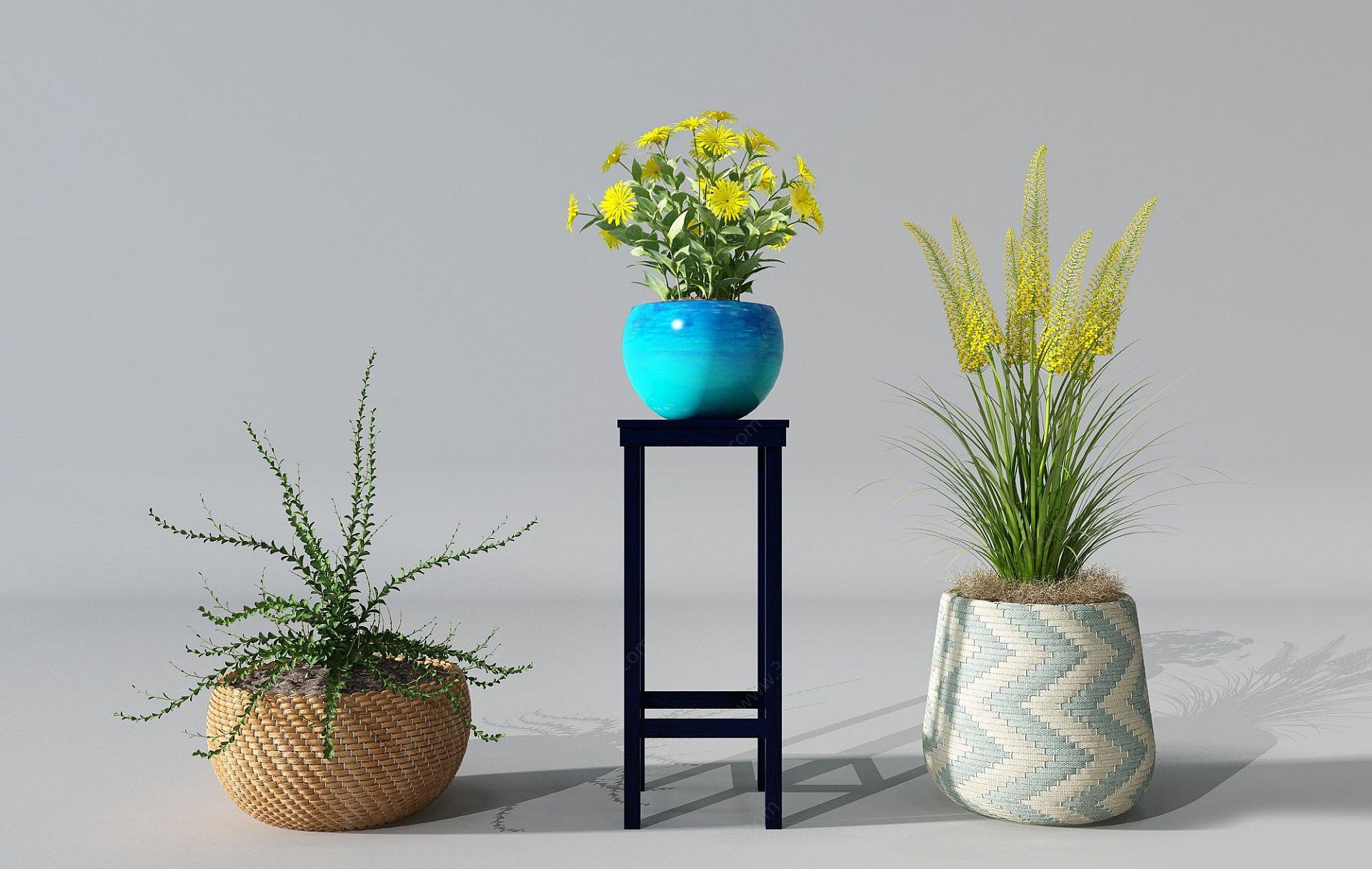 现代盆栽草束绿植3D模型