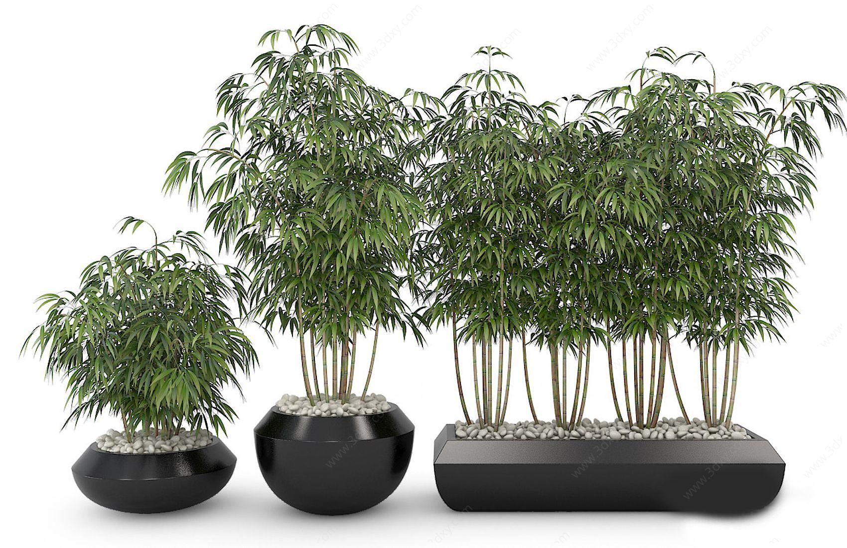 现代绿植竹子3D模型