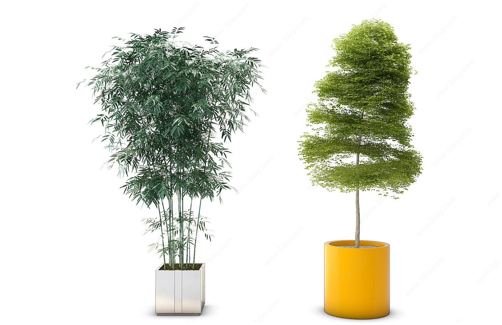 现代绿竹盆栽3D模型