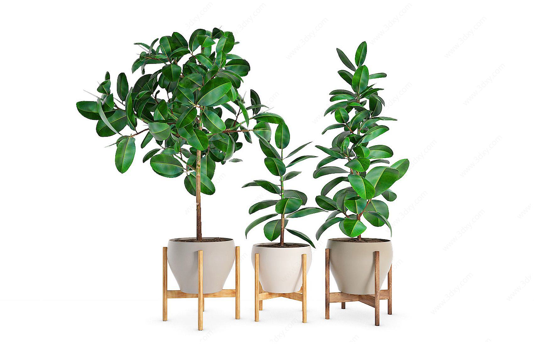 现代盆栽绿植3D模型