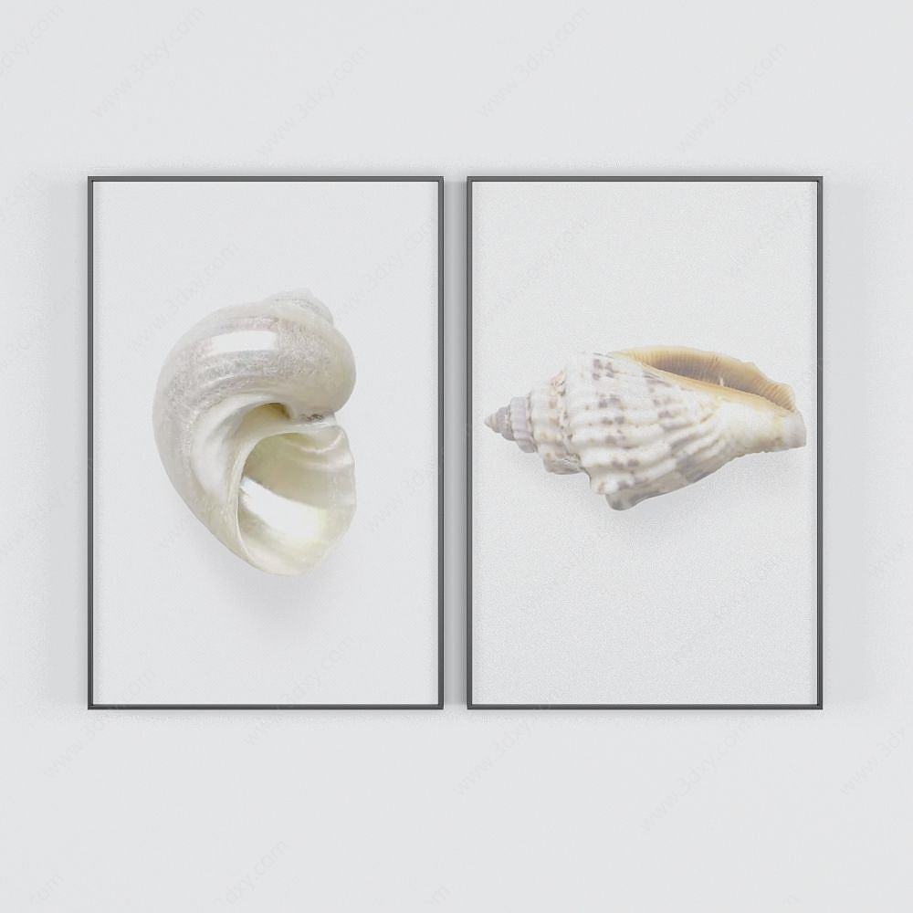海螺装饰画3D模型