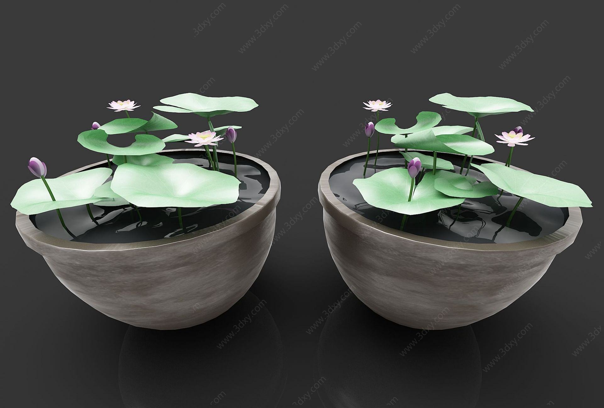 植物装饰画3D模型