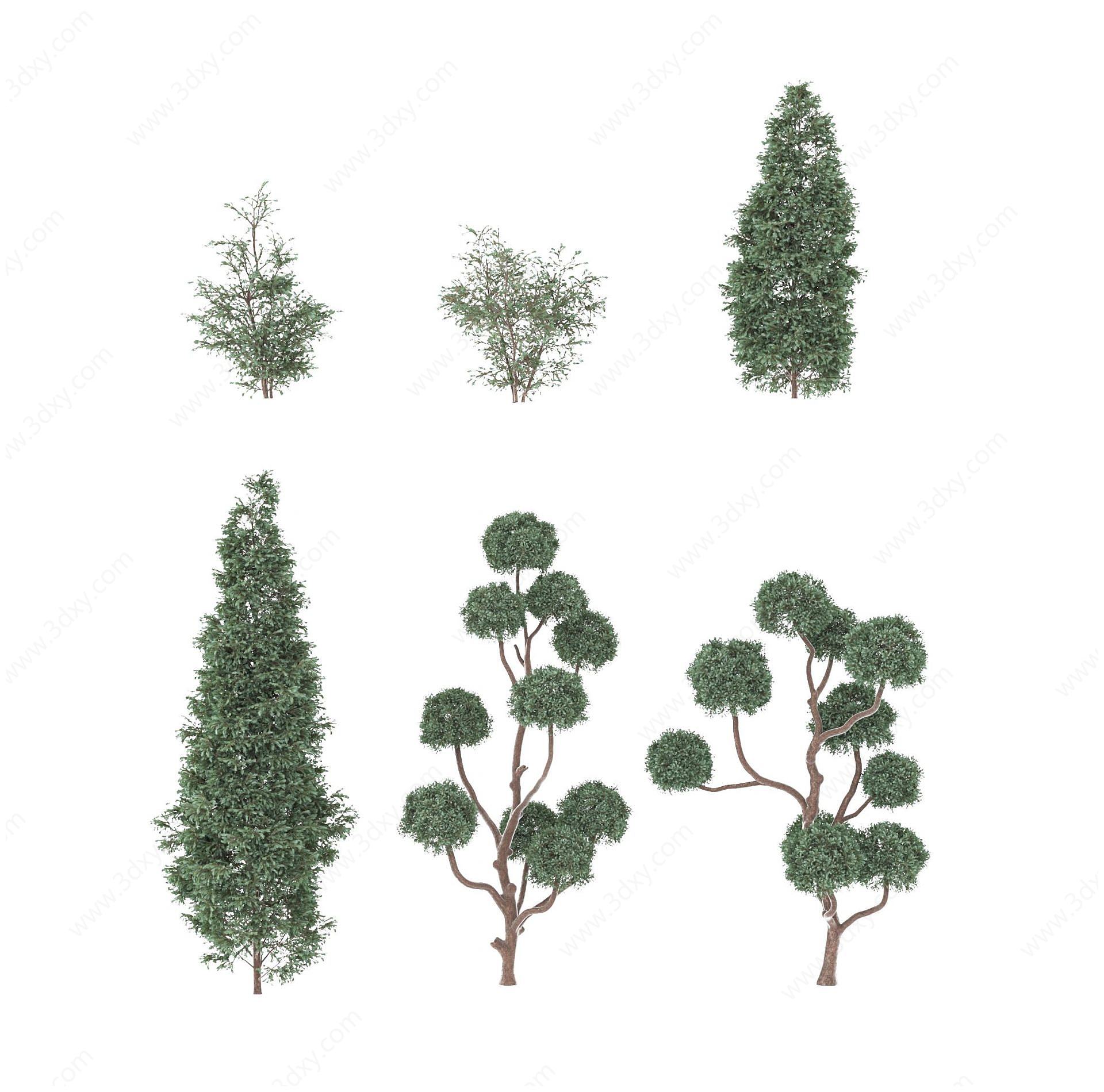 现代灌木树木3D模型